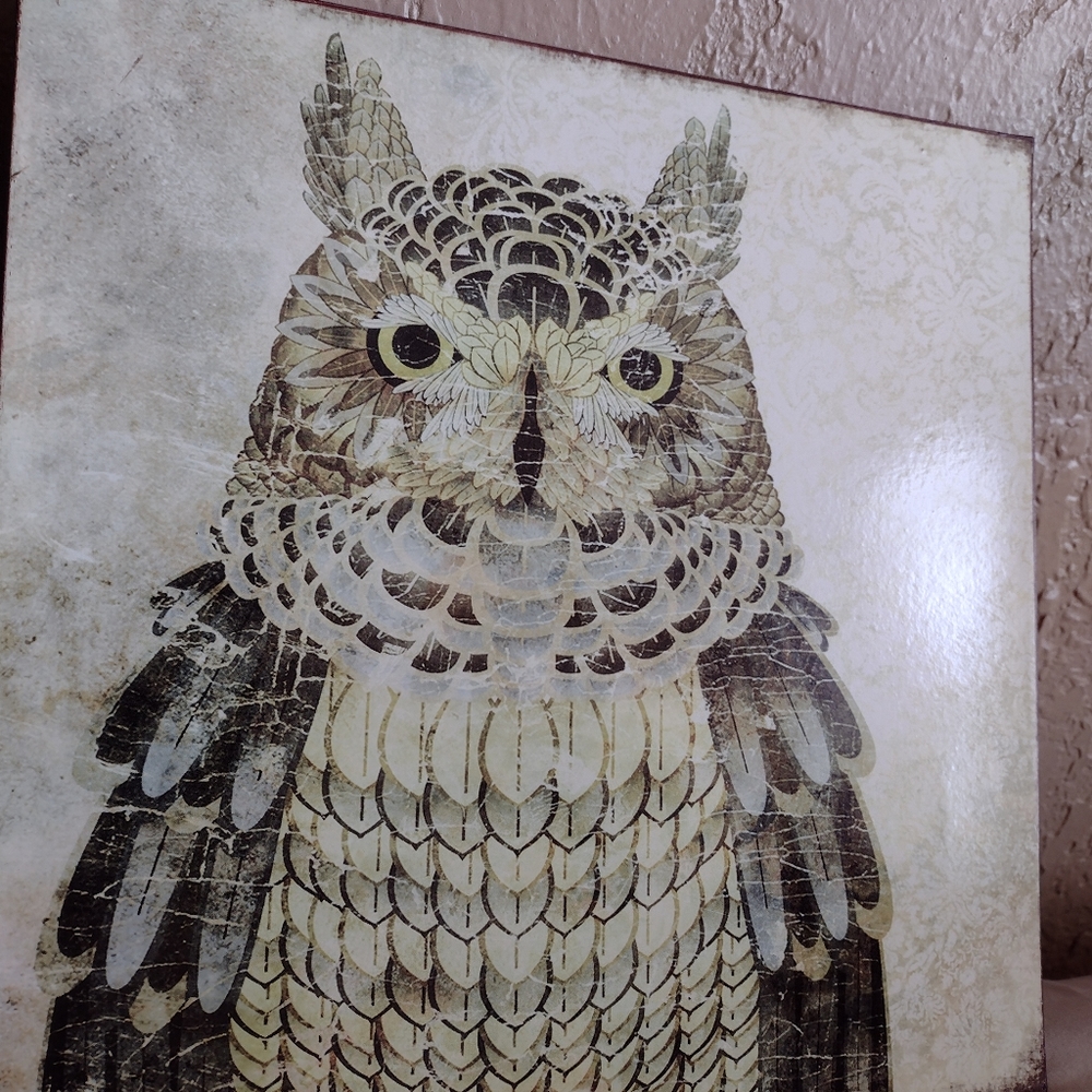 Trio of Owls